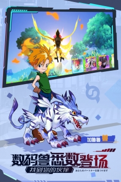 宠物集结九游版