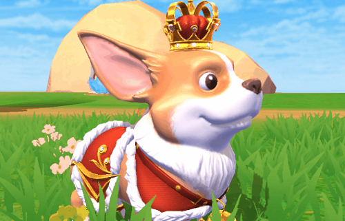 创造与魔法皇家柯基怎么获得