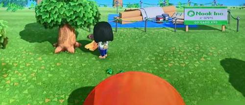 动物森友会水果什么时候刷新