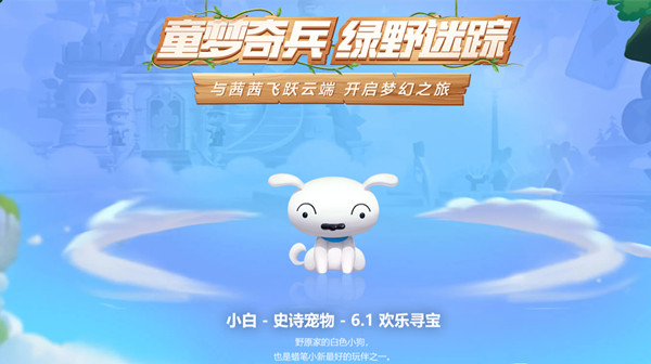 跑跑卡丁车手游宠物小白什么时候上线