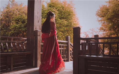 青橙直播免费解锁版：十分火爆的免费观看直播手机APP