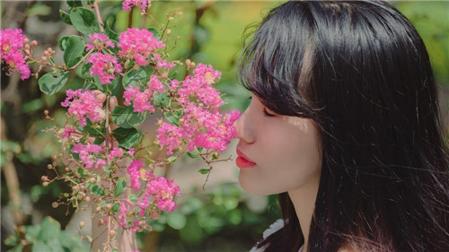 8008幸福宝隐藏导航：支持在线观看超清视频