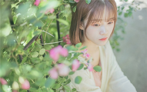 不需要付费的蘑菇视频app不付费版：不可或缺的看剧平台