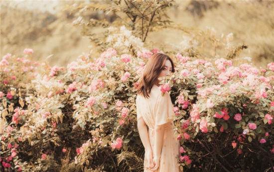 草莓视app下载安装视频解锁版：免费不限次数观看众多精彩视频