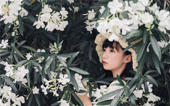 榴莲视频vip无限制解锁版：全网最为全面的视频任你畅享