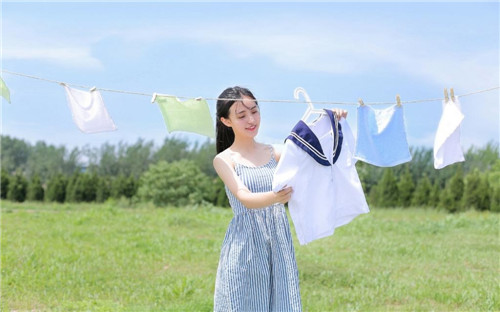 野花社区视频WWW影视：海量免费视频任你自由畅想