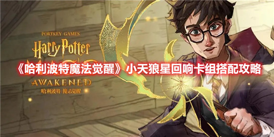 哈利波特魔法觉醒小天狼星回响卡组怎么玩
