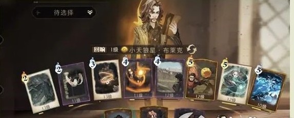 哈利波特魔法觉醒小天狼星回响卡组搭配