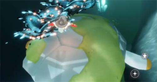 光遇海龟出现时间及位置