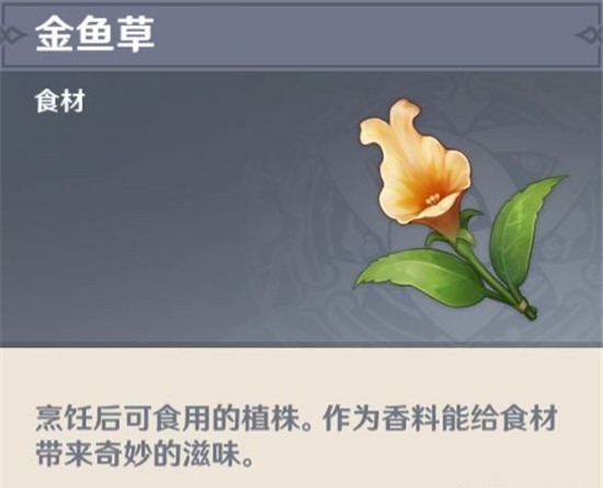 原神金鱼草采集点在什么位置