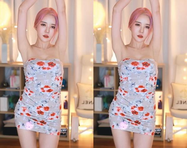 野花高清在线观看免费官网：超多高颜值性感美女在线表演