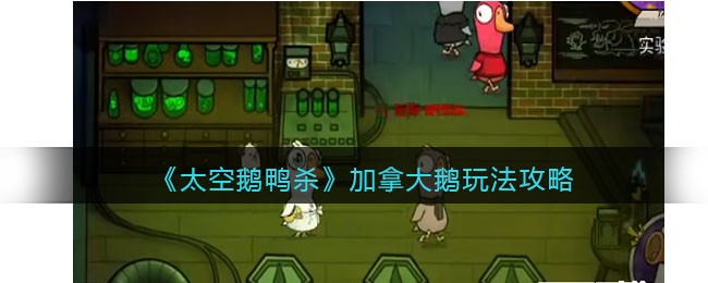 太空鹅鸭杀加拿大鹅怎么玩-加拿大鹅玩法攻略