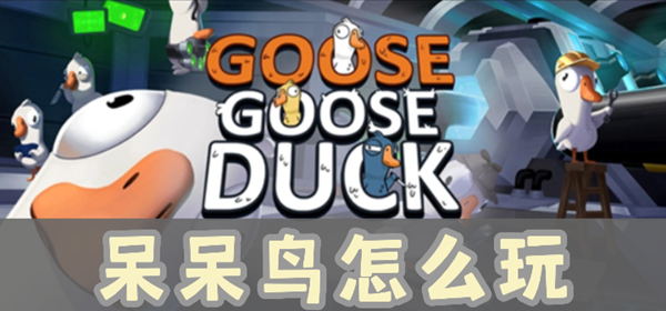 鹅鸭杀呆呆鸟怎么玩-鹅鸭杀呆呆鸟玩法胜利条件