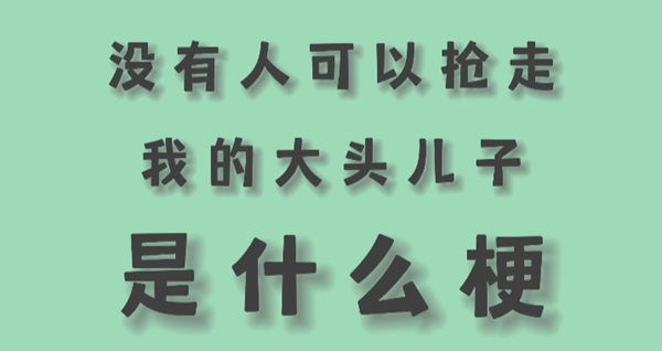 没有人可以抢走我的大头儿子什么梗-没有人可以抢走我的大头儿子表情包