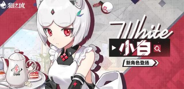 猫之城小白结局攻略_猫之城