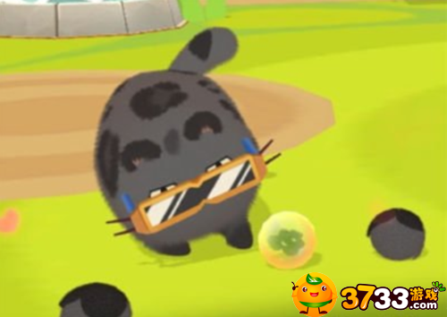 猫咪公寓2好感度怎么提升-猫咪好感度攻略