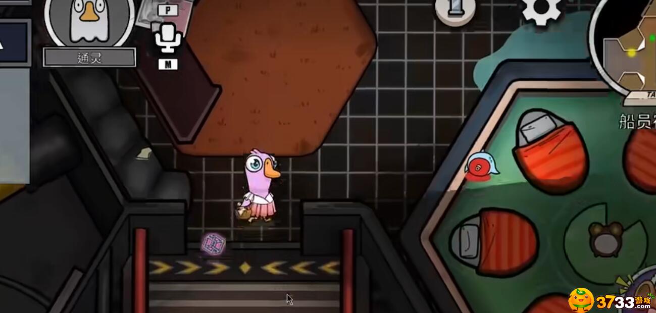 鹅鸭杀大眼睛在哪买的-大眼睛皮肤多少钱