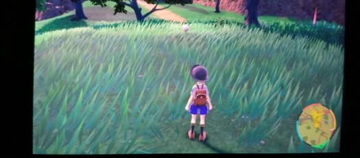 宝可梦朱紫闪光加成三明治配方材料大全_小程序小游戏