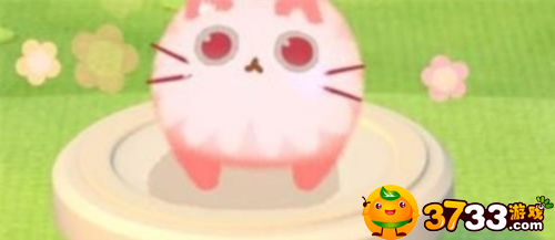 猫咪公寓2怎么氪金划算-猫咪公寓2氪金推荐