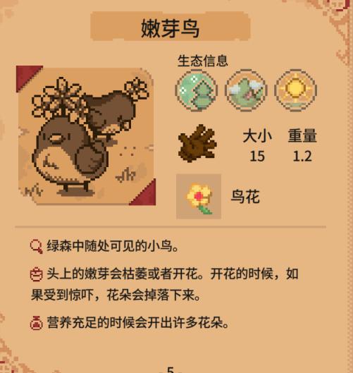 林中小女巫鸟花采集攻略