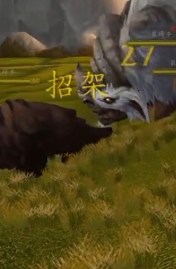 魔兽世界怀旧服WLK猎人宝宝选择详解