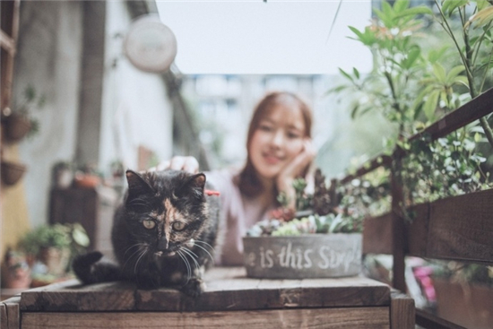 timi1tv天美传媒在线观看ios解锁版：聚合多平台优质影视内容