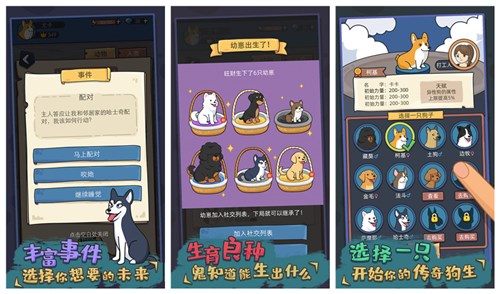 狗生模拟器怎么去富人区 狗生模拟器富人区进入方法攻略