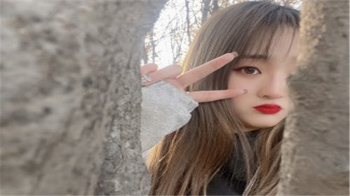 日本vodafonewifi巨大app23手机版：一款回头客很多的播放软件