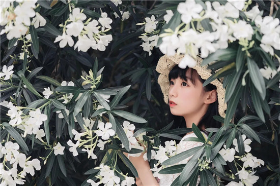 草莓丝瓜小蝌蚪榴莲APP多数影视内容任意观看！疯传平台完全开放了！