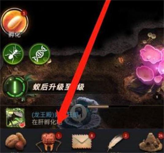 小小蚁国特化蚁怎么升级 升级方法攻略 小小蚁国