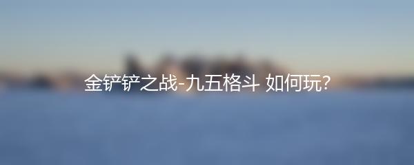 金铲铲之战-九五格斗如何玩