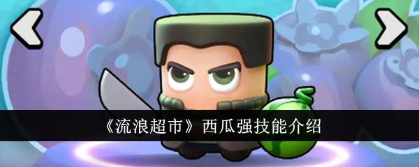 流浪超市西瓜强技能是什么 西瓜强技能介绍