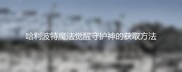 哈利波特魔法觉醒守护神的获取方法