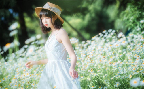 1819岁macbook日本：一款所提供的资源都非常优质的视频软件