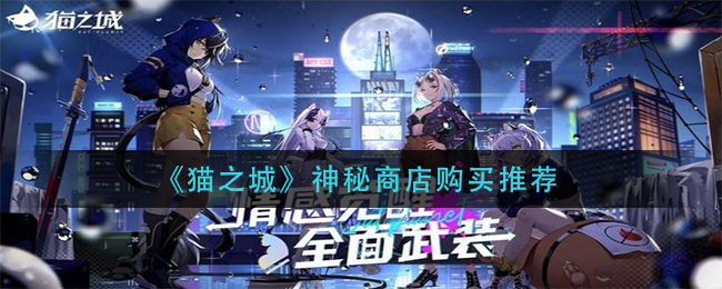 猫之城神秘商店应该如何购买 神秘商店购买推荐
