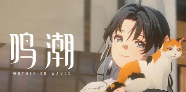 鸣潮鉴心怎么配队 鸣潮鉴心阵容推荐