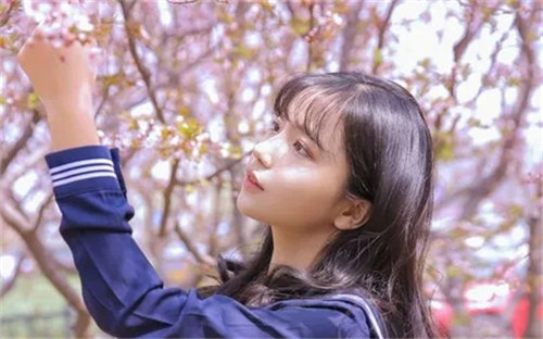 エロワンピスのエロ天堂免费版：精选资源可以无限下载