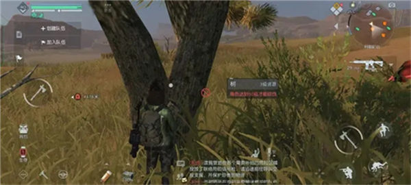 黎明觉醒杜松木怎么获取 获取方法介绍 黎明觉醒