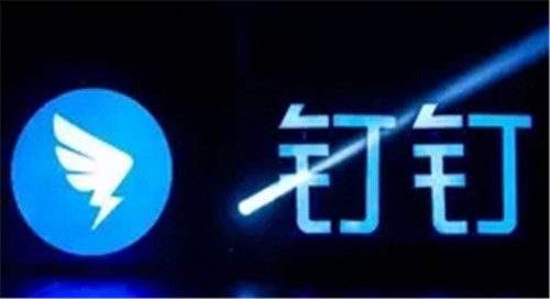 钉钉如何使用白板功能-钉钉如何使用白板功能的教学教程