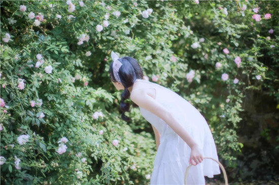 香蕉短视频app无限次数:是一款汇聚了海量优质视频内容的软件