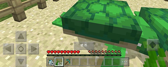 我的世界海龟蛋是什么 海龟蛋介绍