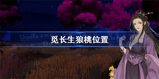 觅长生狼桃在哪里觅长生狼桃位置分享