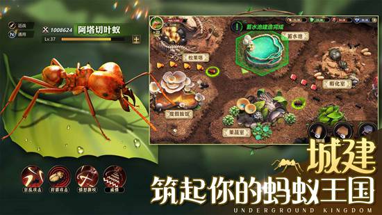 小小蚁国怎么做资源商 小小蚁国资源商攻略