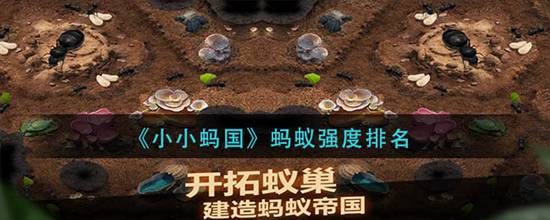小小蚂国什么蚂蚁最强 蚂蚁强度排名