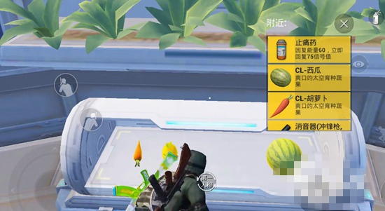 和平精英太空蔬果有什么用 太空蔬果道具用途说明