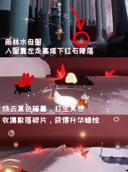 光遇8.22红石位置 红石位置分享