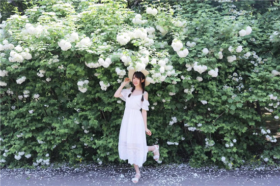 免费30款禁用黄台软件下载入口以开放使用，网友：尽情的看！