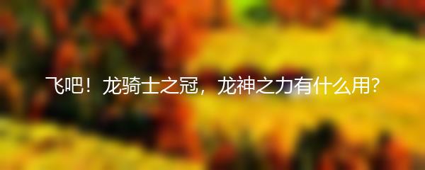 飞吧龙骑士之冠 龙神之力有什么用