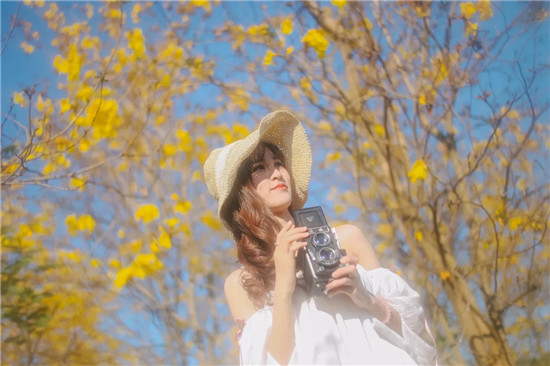 茄子视频懂你更多老版本还可以使用吗？平台说即将停止营运！