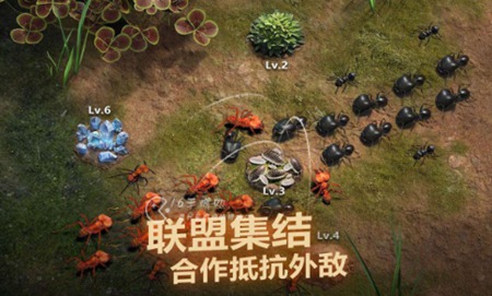 小小蚁国游戏中如何搬砖呢 2022快速搬砖攻略